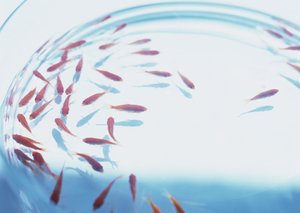 数字化转型深度科普：云计算如何重塑企业流程